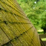 Kłopoty z przestarzałym pokryciem dachowym - jak je rozwiązać w zależności od materiału